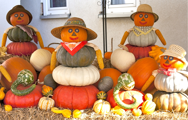 Am 7. Oktober dreht sich in Altendorf wieder alles rund um das Thema Kürbis. Foto: ddp