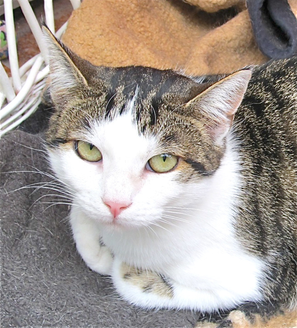 Samira ist erst ein Jahr alt. Fotos (2): oh