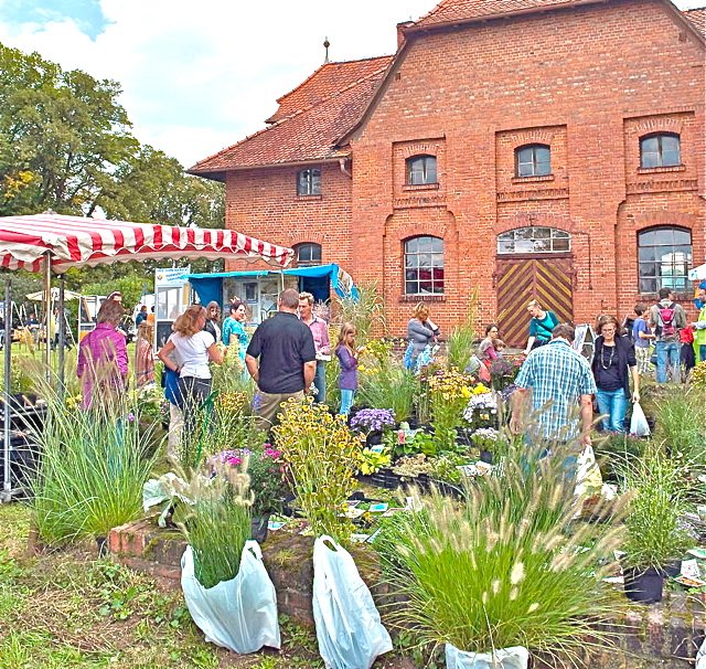 Ein vielfältiges Angebot in herrlichem Ambiente lässt die Herzen der Garten- und Pflanzenfreunde höher schlagen. Foto: oh