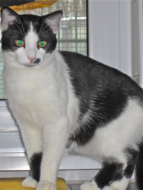 Felix ist ein aufgewecktes Kerlchen. Fotos (2): oh