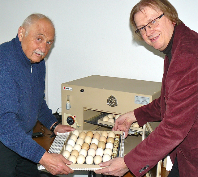 Am schnellen Brüter mit den Wachtel- und Hühnereiern, damit die Tiere an Ostern schlüpfen: der Vorsitzende des Vereins der Vogelliebhaber Schwabach, Peter Vogel (l.), und Museumsleiter Jürgen Söllner im Stadtmuseum Schwabach. Foto: oh