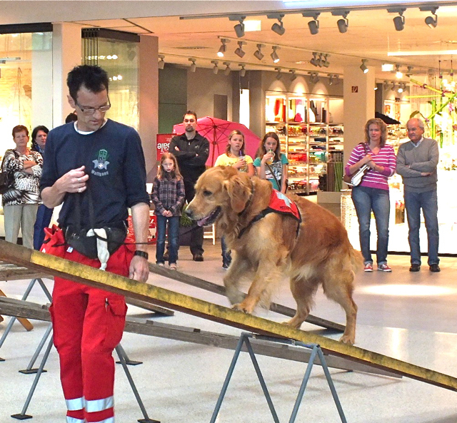 Am Samstag, 13. Juli, stehen in der huma die Hunde im Mittelpunkt. Foto: oh