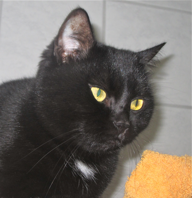 Phoebe: nicht ohne meine Tochter. Fotos (3): oh