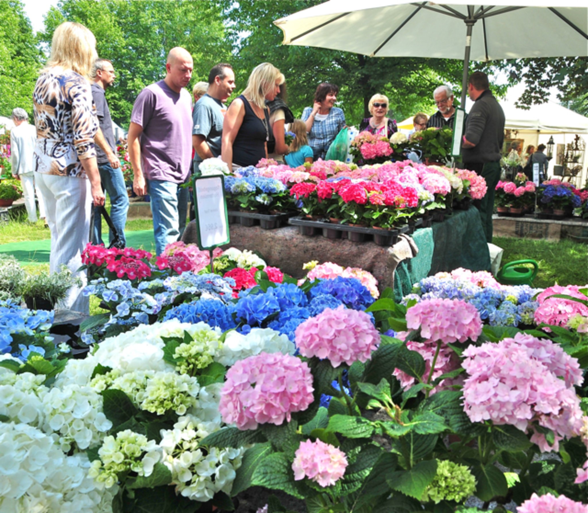 Endlich das Frühjahr spüren - Schwabach