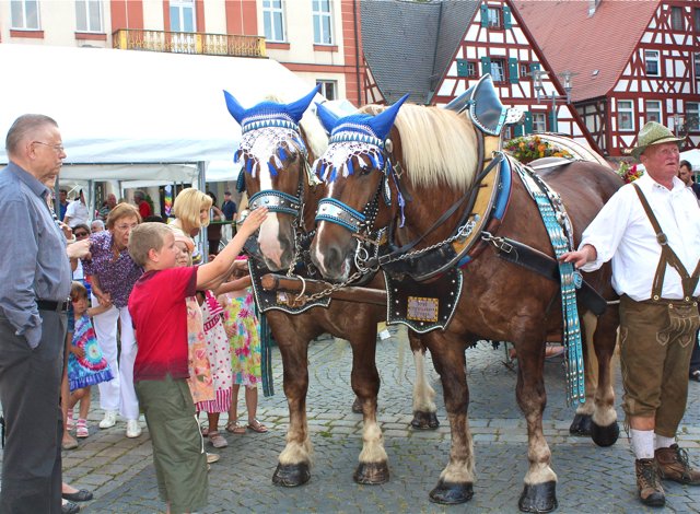 Unter Aufsicht dürfen Kinder die Brauereipferde streicheln.