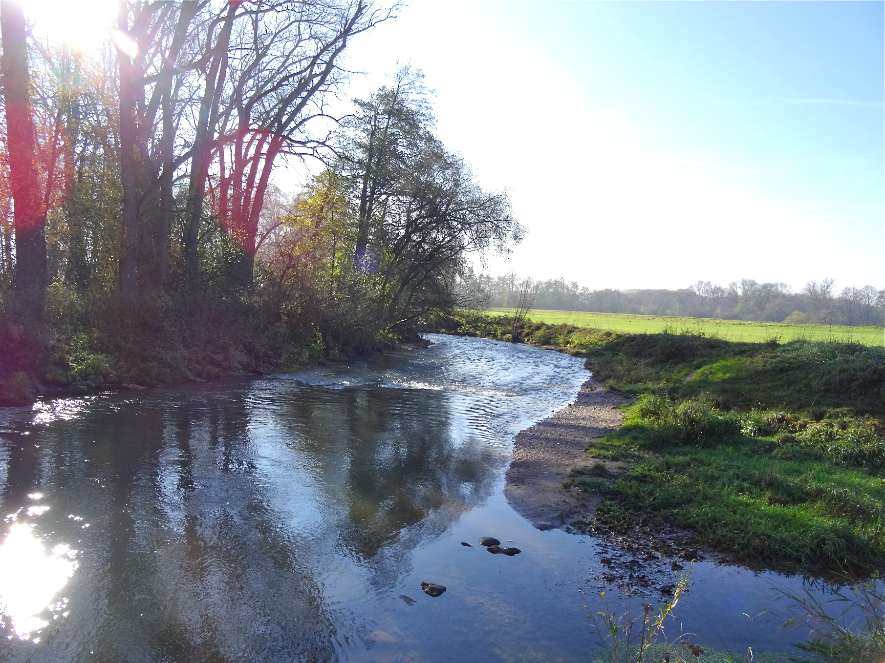 Ein neuer Lehrpfad lädt entlang der Wiesent zum bewussten Entdecken herrlicher Natur ein. Foto: Stadt Forchheim