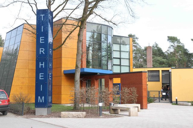 Tierheim Nürnberg | Foto: bayernpress