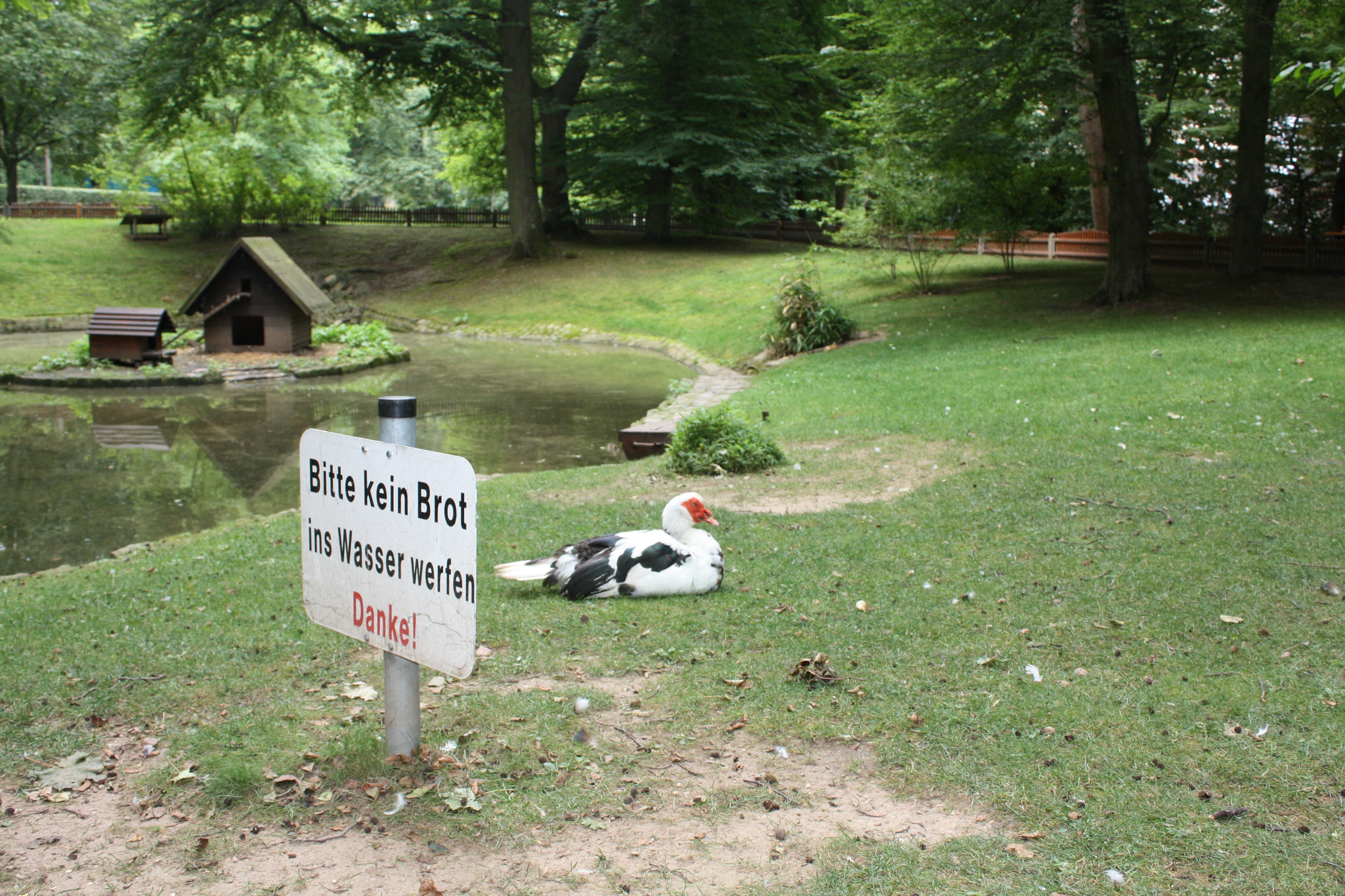 Der Stadtpark ist natürlich tabu. Beim genauen Hinsehen finden sich jedoch viele Freiflächen im Bereich der Innenstadt, die für eine Bebauung geeignet wären.