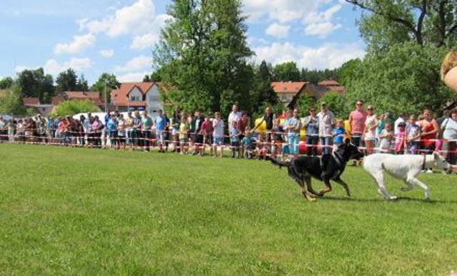 Viel Spaß ist auch beim Hunderennen angesagt. | Foto: Veranstalter