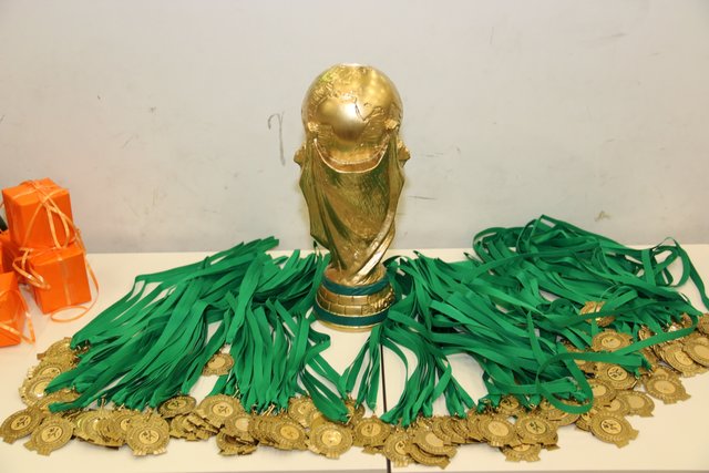 Der ,,WM" Pokal der Team Nürnberg Partner WM 2014. | Foto: John R. Braun