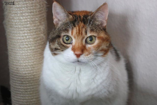 Meine 18jährige Omi Isabell