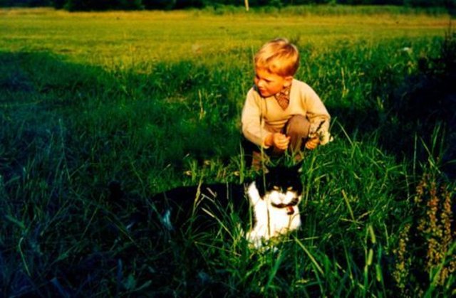 Katze
