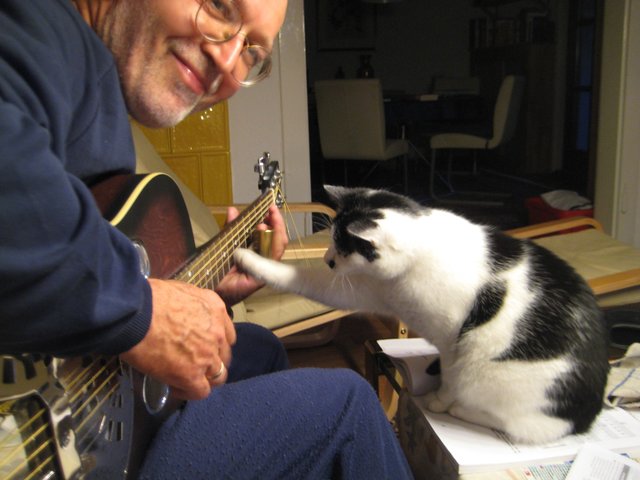 Kater Tommi ist ein begnadeter Hilfsgitarrist. | Foto: oh