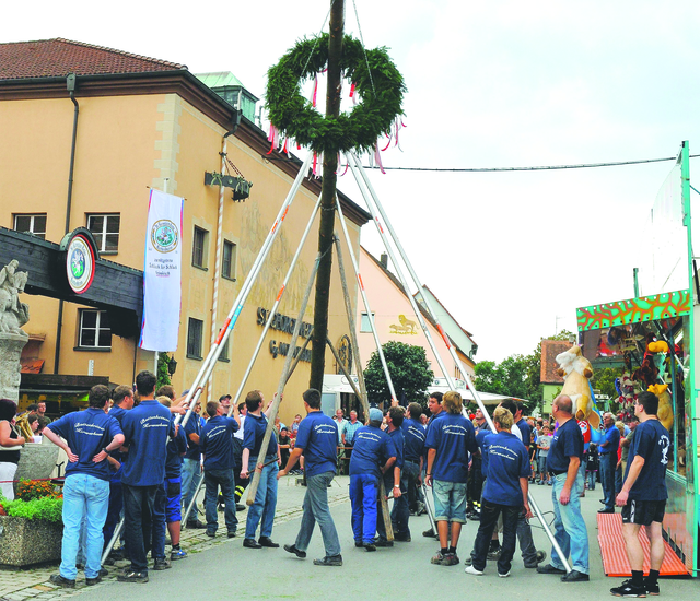 Gelebte Tradition: Auch ein Kirchweihbaum wird in diesem Jahr natürlich wieder aufgestellt. | Foto: Archiv/oh