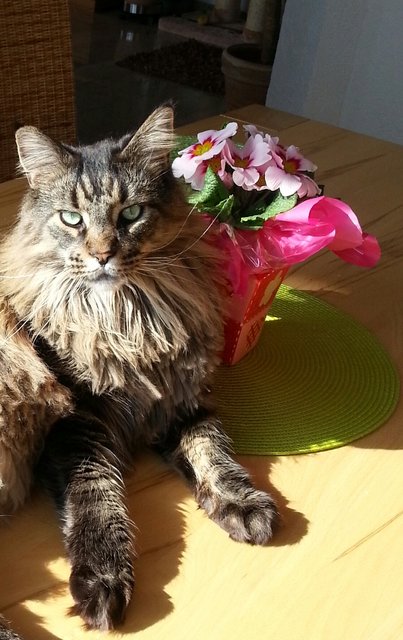 Jerry und der Frühling