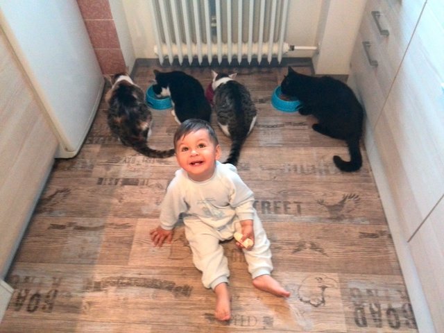 ...sind begeisterte Katzenfans... | Foto: oh