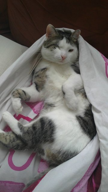 Schön kuschelig eingepackt... | Foto: oh