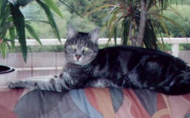 meine kleine Angie