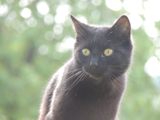 Micky