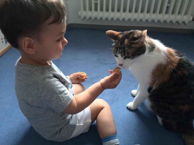 Schon die Jüngsten... | Foto: oh