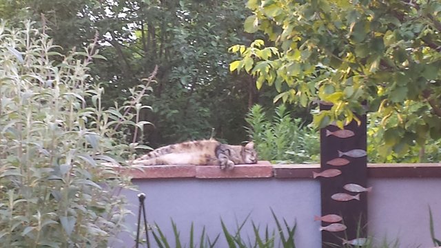 und...passend zur Gartendeko - oder wie soll ich´s machen?