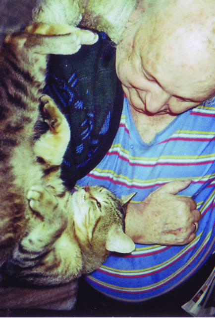 Kater Picasso kommt aus einem Tierheim und hat bei der Familie Thamm eine neue Heimat gefunden. | Foto: oh