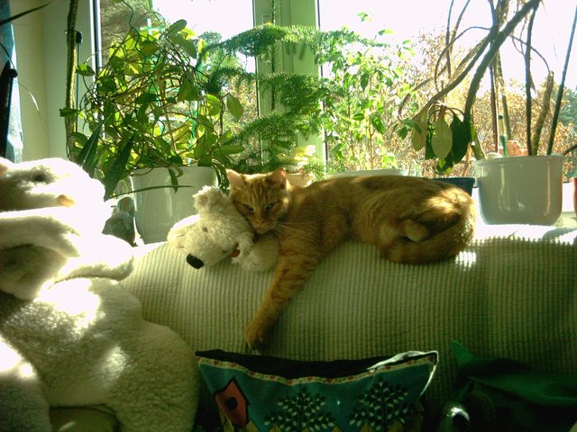 Kescha beim Relaxen