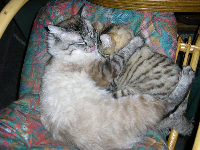 Fritzi und Henry
