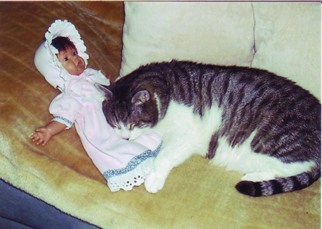 Kater Charlie - hier mit seiner Lieblingspuppe - wurde 2010 ausgesetzt. Liebevoll kümmert sich jetzt sein neues Frauchen Hannelore Englert um ihn. | Foto: oh