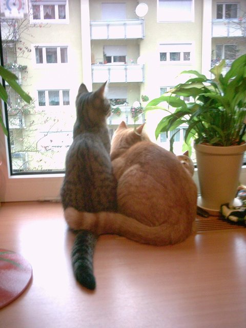Kiki und Kescha