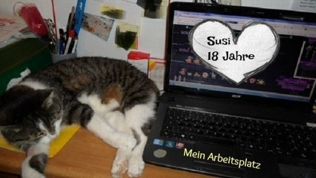 Brauch mal ne Pause, bin immerhin schon 18 Jahre alt!