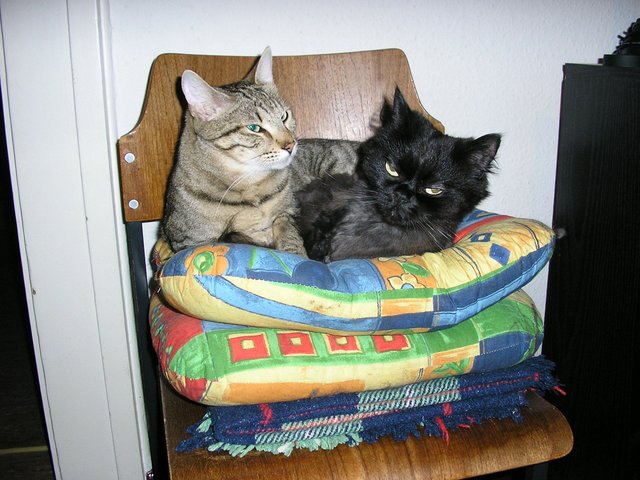 Fritzi und Micky