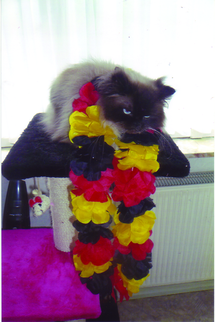 Bei der Fußballweltermeisterschaft hat Lilly natürlich auch mitgefiebert. | Foto: oh