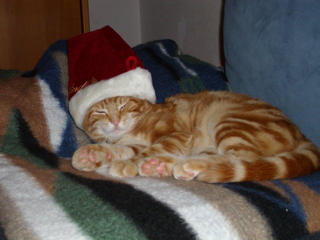 ...an Weihnachten als Nikolaus... | Foto: oh
