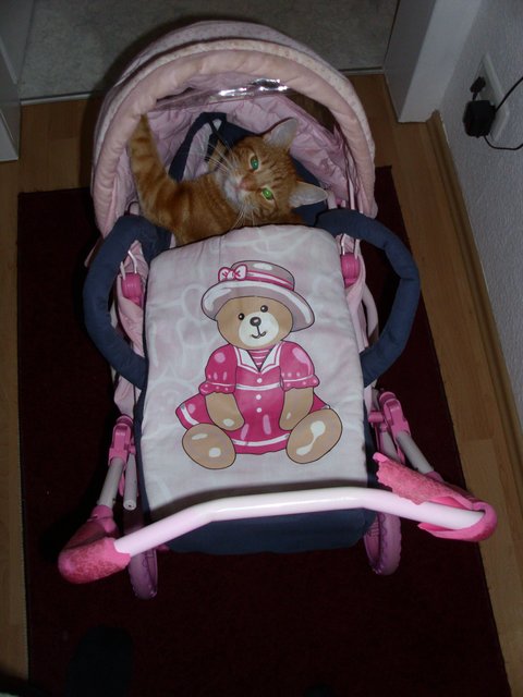 ...mal rumschieben lassen im Puppenwagen... | Foto: oh