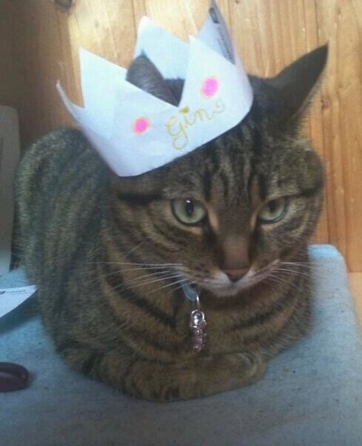 Prinzessin Gin