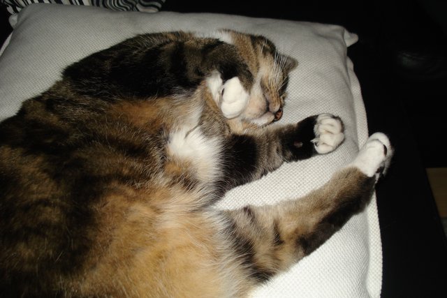 Mittagsschlaf
