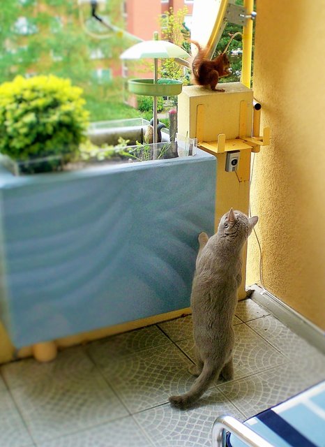 Och, der Besuch ist da,