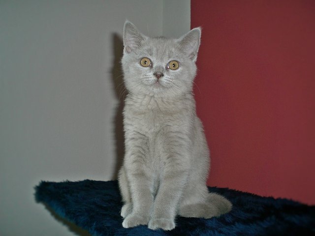 Hallo,ich bin der Oskar,,