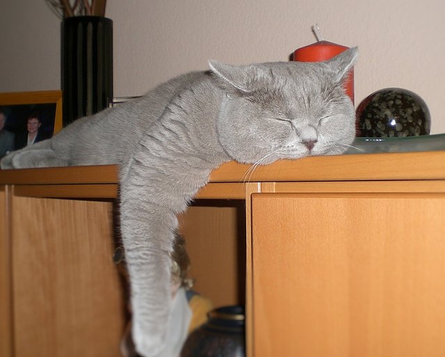 Ein Nickerchen tut gut,