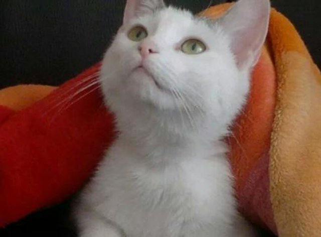 meine kleine liebe Minka