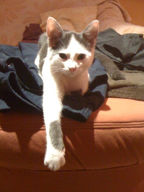 Unser Charly beim Relaxen