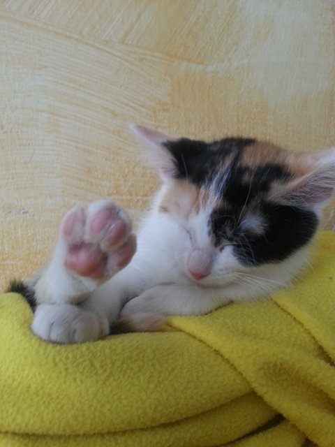 Baby Fiona ♥
