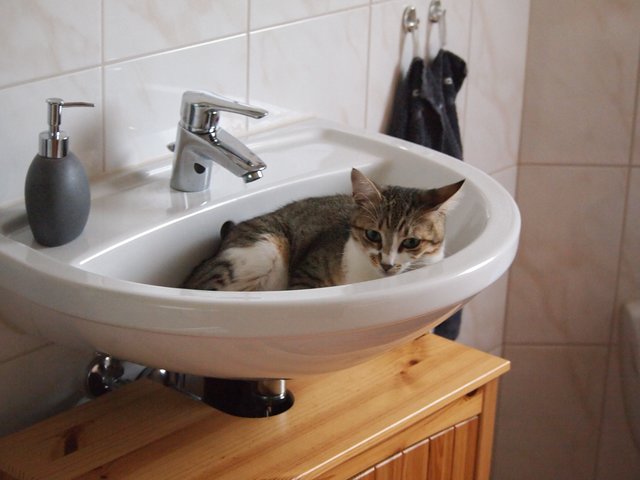 Hallo ich bin Nala und möchte Baden
