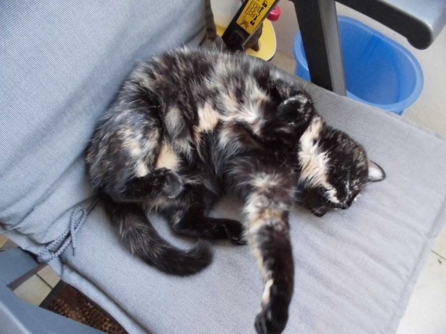 Sleeping Amy