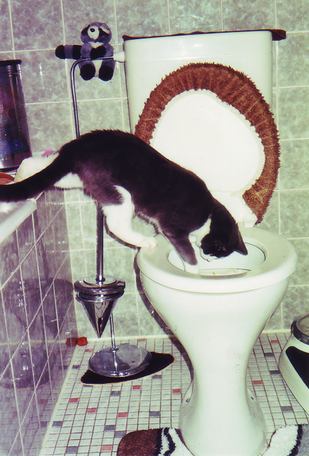 .... hier bei der Inspektion des WCs... | Foto: oh