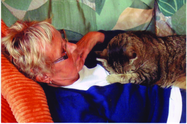 Kater Willi will nicht fotografiert werden. | Foto: oh