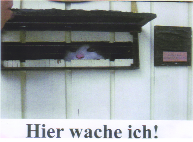 Bei der Familie Sünkel kontrolliert Kater Oskar den Posteingang. | Foto: oh