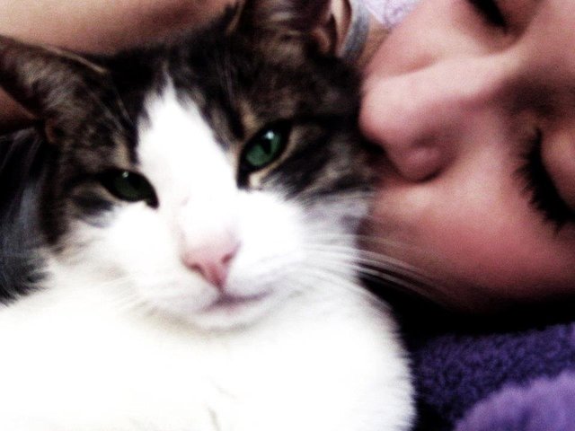 ... und diese Momentaufnahme dazugestellt. | Foto: oh