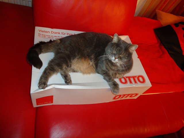 ... und große Papierschachteln. | Foto: oh